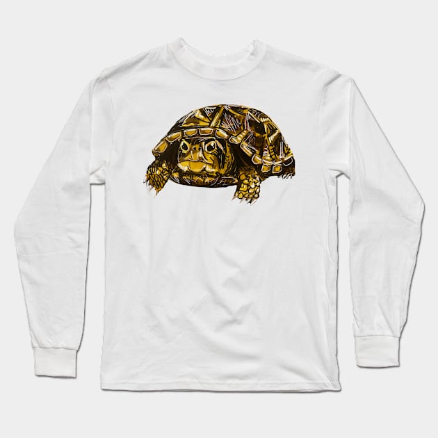 Ornate Box Turtle Long Sleeve T-Shirt by KatieMorrisArt